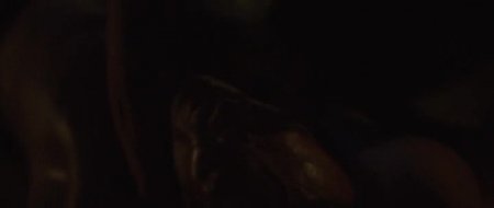 Кикбоксер (2016)