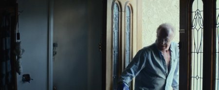 Хороший сосед (2016)