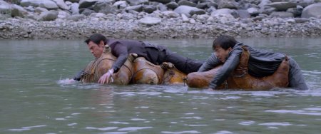 По следу / Отпетые напарники (2016)