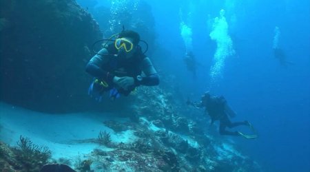 Акула-Франкенштейн (2016)