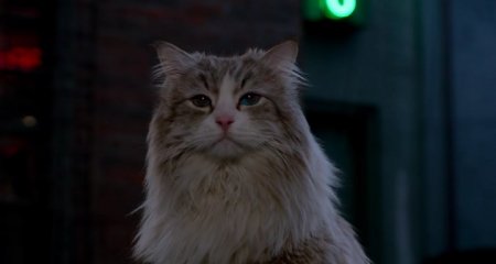 Девять жизней (2016)