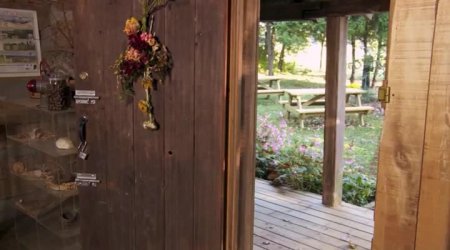 Несси и я (2016)