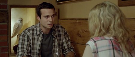 Дамское чтиво (2016)