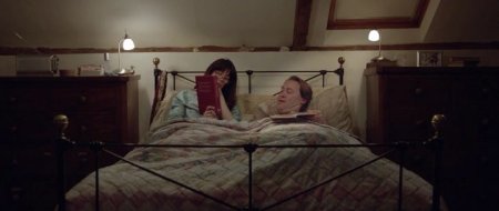 Дамское чтиво (2016)