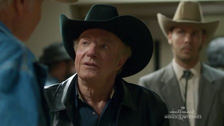 Семейная Ферма (2016)