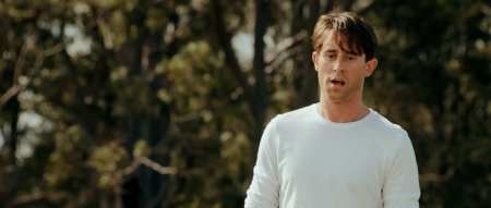 Красный залив (2016)