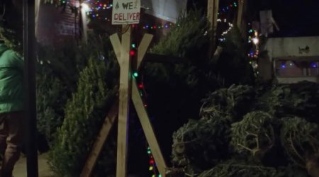 Рождество, опять (2017)