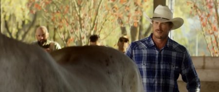 Одичавший (2017)