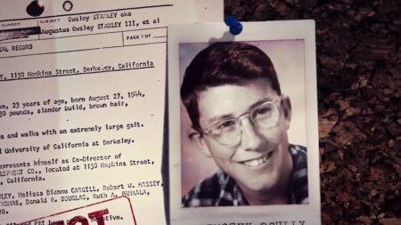 Производители солнечного света (2015)