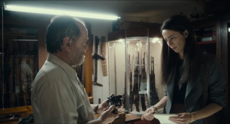 Кристин (2016)