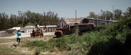 Любительница собак (2016)