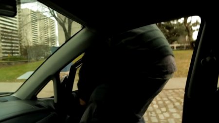 Поймать, убить, выпустить (2016)