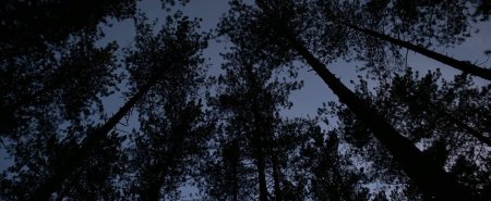 Жестокие мечты (2016)