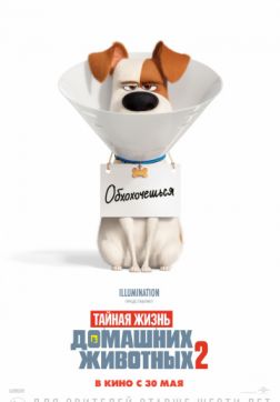 Фильм Тайная жизнь домашних животных 2 (2019)