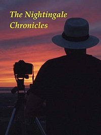 Фильм Хроники Найтингейл (2017)