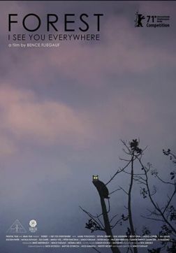 Фильм Лес: Вижу тебя повсюду(2021)