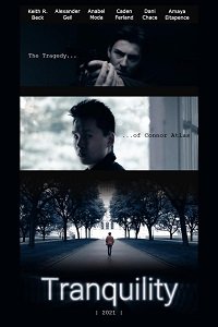 Фильм Успокоение - независимый фильм (2021)