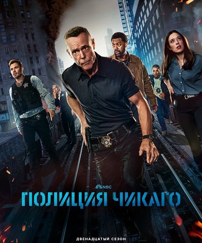 Полиция Чикаго (Полицейский департамент Чикаго) (12 сезон)