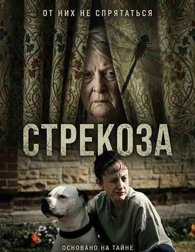Стрекоза (2025)
